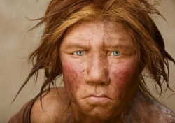 Neanderthal Wilma (NatlGeog 1996)